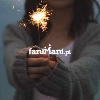 Fanimani portfolio image